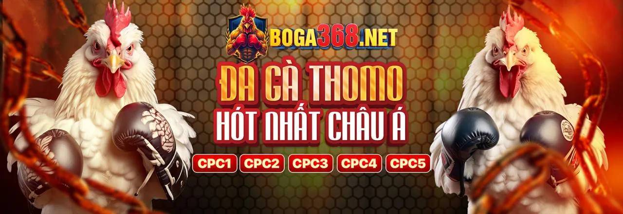 Cá cược thể thao trực tuyến tại ww88 nhà cái